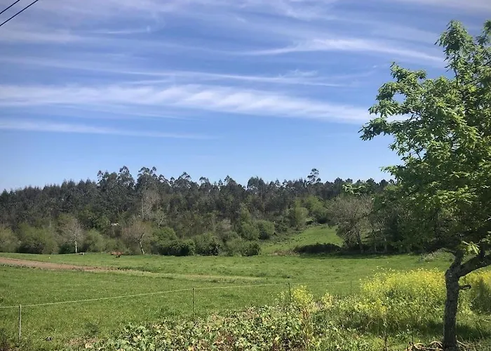 Tatil Evi A Casa Do Acivro